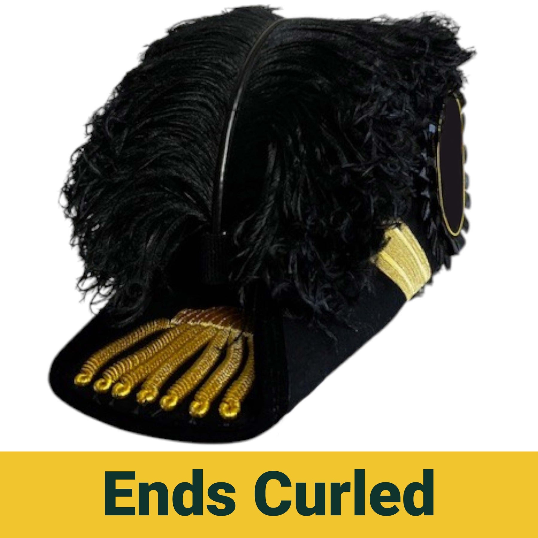 Grand Encampment Knights Templar Chapeau - All Black Plumes