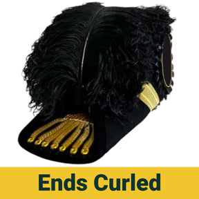 Grand Encampment Knights Templar Chapeau - All Black Plumes
