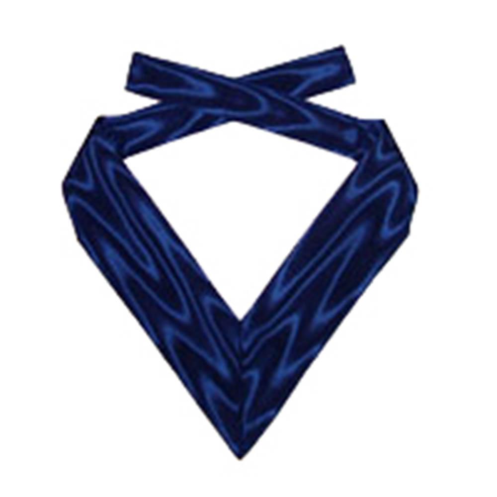 Provincial Order of The Secret Monitor Collarette - Dark Blue Moire - Bricks Masons